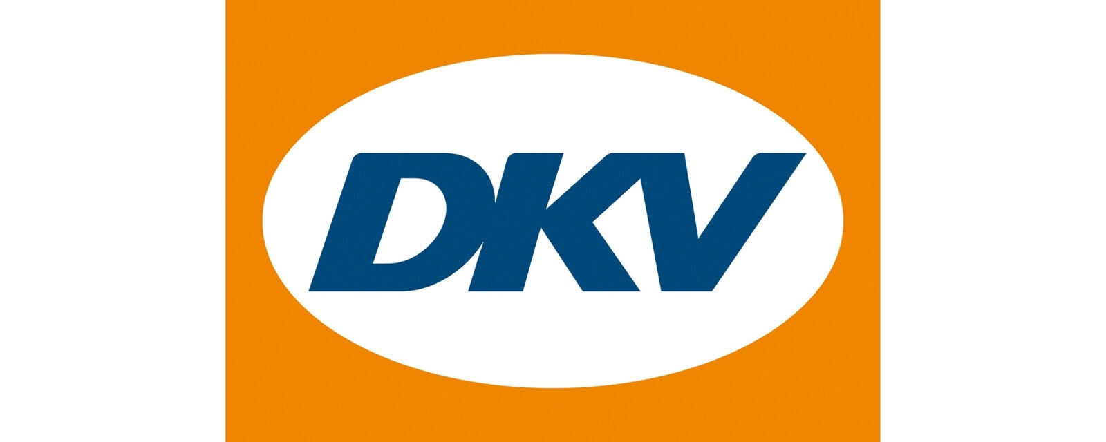 referenzen-info-gmbh_DKV