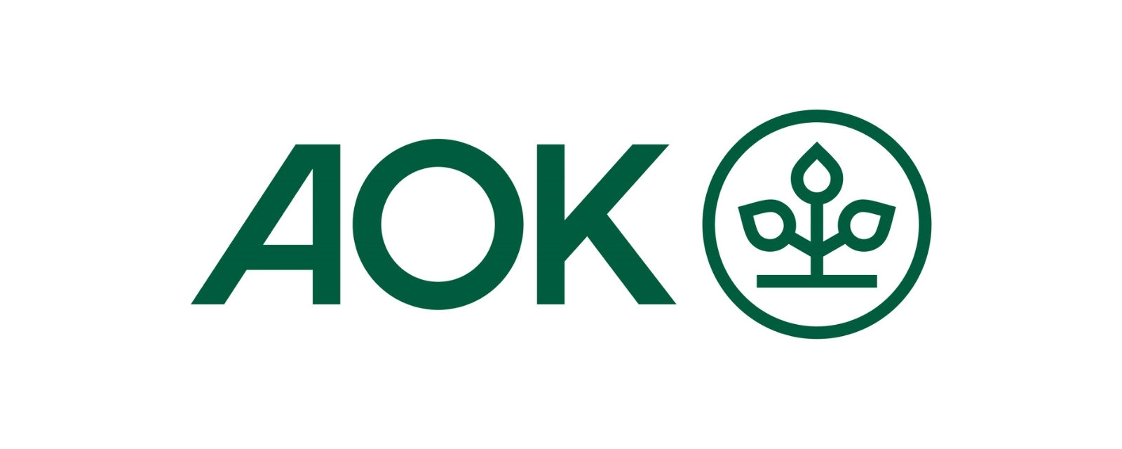 referenzen-info-gmbh_aok