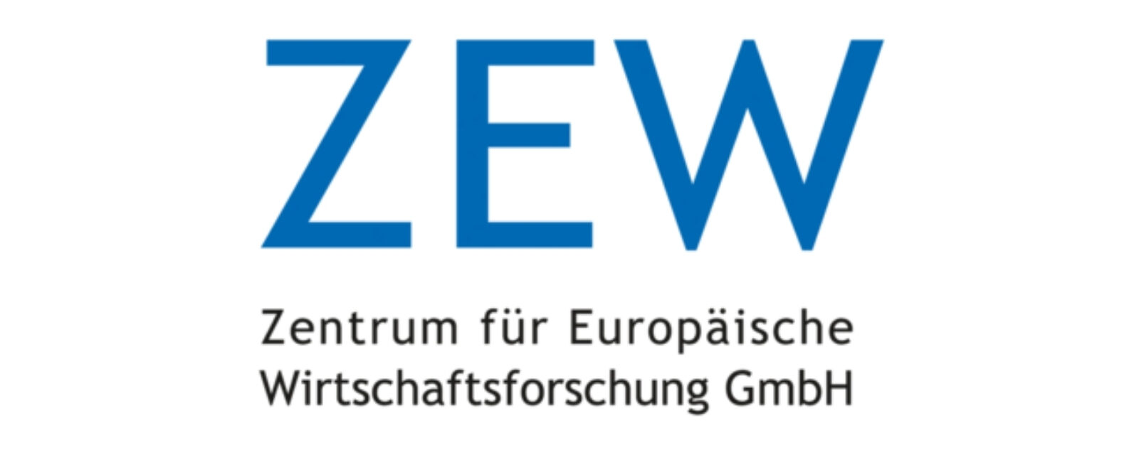 referenzen-info-gmbh_zew zentrum für europäische wirtschaftsforschung gmbh